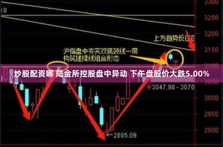 炒股配资哪 陆金所控股盘中异动 下午盘股价大跌5.00%