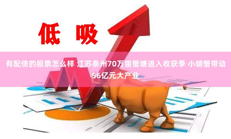 有配债的股票怎么样 江苏泰州70万亩蟹塘进入收获季 小螃蟹带动56亿元大产业